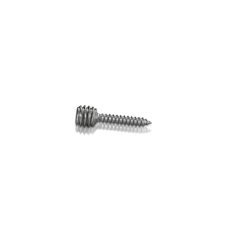 Stainless Steel Combination Screw 5/16-18 Threaded, Length: 1''