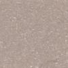 12'' x 50 yards Avery SC950 Gloss Champagne Mist 10 year Long Term Unpunched 2.0 Mil Metallic Cast Cut Vinyl (Color Code 207)