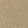 24'' x 10 yards Avery SC950 Gloss Light Gold 10 year Long Term Unpunched 2.0 Mil Metallic Cast Cut Vinyl (Color Code 217)