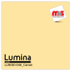 15'' x 5 Yards Lumina® 9000 Semi-Matte Dove Grey 2 Year Unpunched 3.5 Mil Heat Transfer Vinyl (Color code 028)
