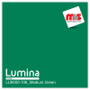 15'' x 25 Yards Lumina® 9000 Semi-Matte Medium Green 2 Year Unpunched 3.5 Mil Heat Transfer Vinyl (Color code 106)