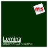 15'' x 25 Yards Lumina® 9000 Semi-Matte Dark Forest 2 Year Unpunched 3.5 Mil Heat Transfer Vinyl (Color code 170)