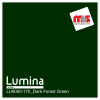 15'' x 5 Yards Lumina® 9000 Semi-Matte Dark Forest 2 Year Unpunched 3.5 Mil Heat Transfer Vinyl (Color code 170)