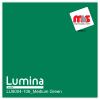 15'' x 5 Yards Lumina® 9004 Semi-Matte Medium Green 2 Year Unpunched 3.5 Mil Heat Transfer Vinyl (Color code 106)