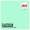 15'' x 50 Yards Lumina® 9004 Semi-Matte Sweet Mint 2 Year Unpunched 3.5 Mil Heat Transfer Vinyl (Color code 252)