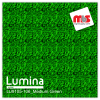 15'' x 5 Yards Lumina® 9105 Gloss Medium Green 2 Year Unpunched 12.8 Mil Heat Transfer Vinyl (Color code 106)