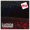 15'' x 50 Yards Lumina® 9106 Gloss Black 2 Year Unpunched 4.3 Mil Heat Transfer Vinyl (Color code 003)