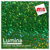 20'' x 5 Yards Lumina® 9106 Gloss Medium Green 2 Year Unpunched 4.3 Mil Heat Transfer Vinyl (Color code 106)