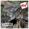  15'' x 5 Yards Lumina® 9202 Matte Grey Oak 1 Year Unpunched 2.4 Mil Heat Transfer Vinyl (Color code 052)