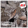  15'' x 5 Yards Lumina® 9202 Matte Beige Oak 1 Year Unpunched 2.4 Mil Heat Transfer Vinyl (Color code 174)