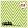 15'' x 5 Yards Lumina® 9203 Matte Light Green 1 year Unpunched 2.4 Mil Heat Transfer Vinyl (Color code 061)