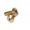 Champagne Anodized Aluminum Bolt 5/16-18 Thread, length 1'', 5/32'' Hex Broach