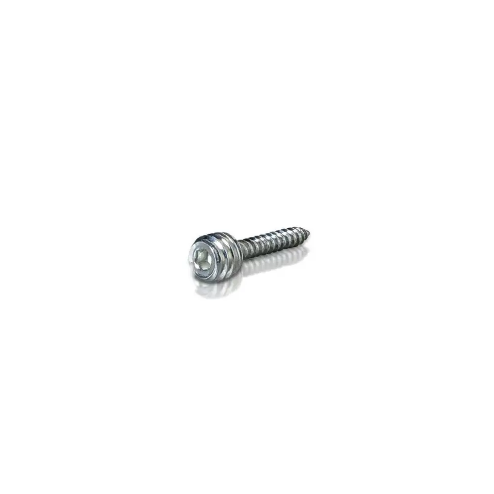 Combination Screws