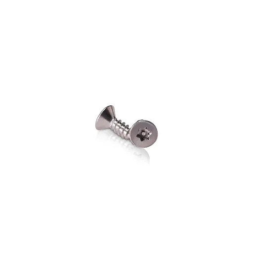 #8 Torx Flat Head Screw